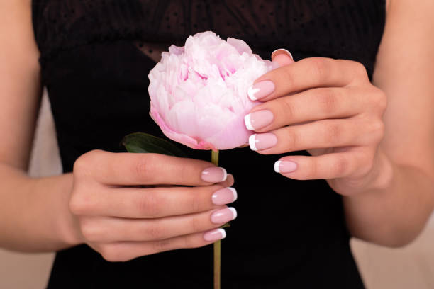 Istockphoto 1305065059 612x612